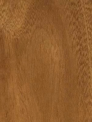 Sapele veneer